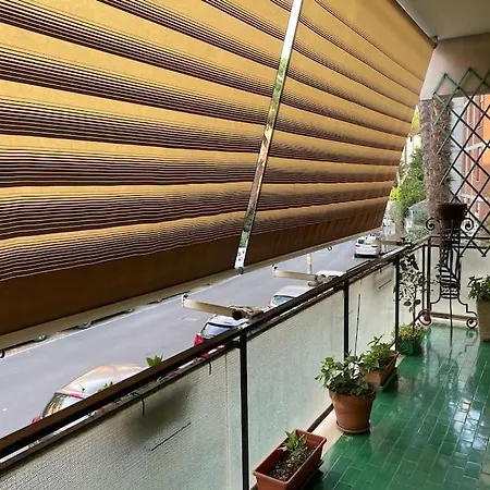 Rome Opera Flat 2.0-3